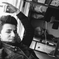 Davutcan_official (@davutca26736987) 's Twitter Profile