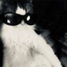mad_cattery's profile picture. Ask me no questions, I'll tell you no lies. Travel consultant. #Resist She/her 🏳️‍🌈🏳️‍🌈