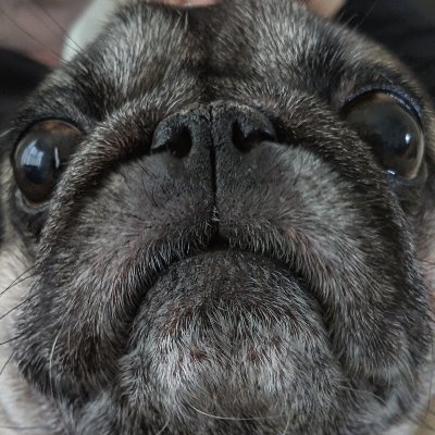 soworston's profile picture. https://t.co/UUKcUYcblv