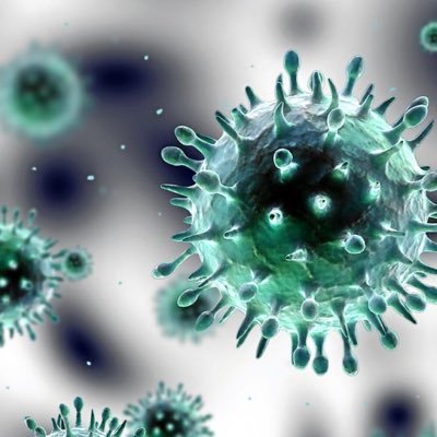 Virus 🦠 gripe aviar, comúnmente altamente infecciosa en los aeropuertos