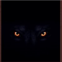 عزيز (@aziz_trki) Twitter profile photo