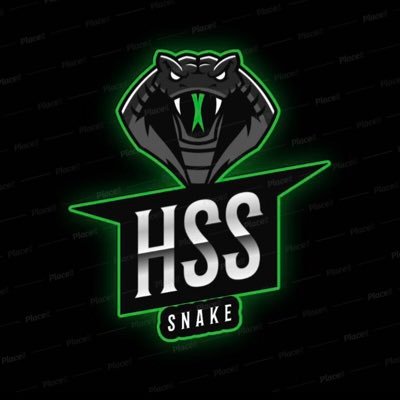 https://t.co/l7GsqD1EPH use discount code HSSSNAKE for 10% off