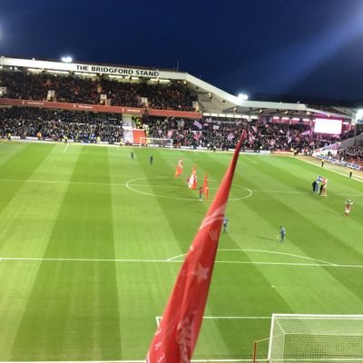 flipper540's profile picture. Too many rules too few examples.