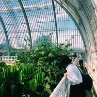 Hana Teraie-Wood (@hanateraiewood) 's Twitter Profile
