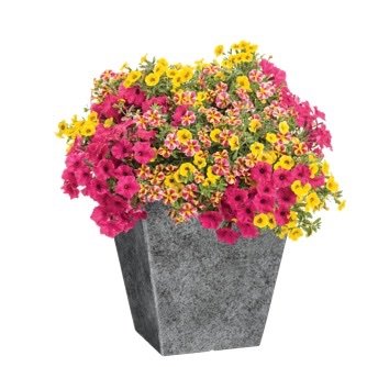 ClassicHG's profile picture. Wholesale supplier of containers for all of your gardening needs .                     Contact us at 1.800.621.5678