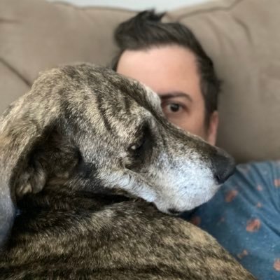 Agile Anarchist, Project Management Enthusiast, Paid shitposter, Blue Ribbon Equestrian, Open Source Comedian he/him