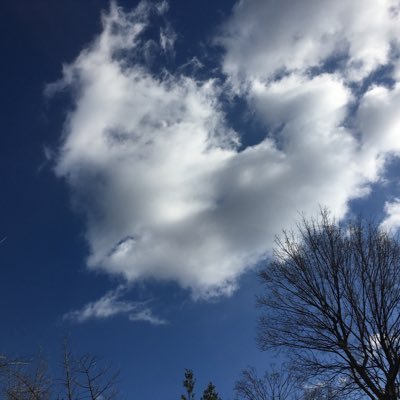 alliswellthanks's profile picture. 🦜🦋🌈🧚🛸