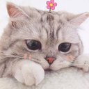 Diệp Hương - @DipHng11 - Twitter