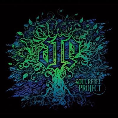 Soul Rebel Project continues to bring their conscious message, and heavy hitting vibes to well respected clubs all over New England and Beyond.