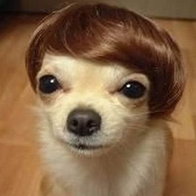 CarlosAndrade_x's profile picture. 