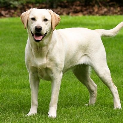 TEVzWT8a0Cmu4zT's profile picture. 埼玉県　　会員No23