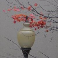 Small Footprints (@smallftprints) 's Twitter Profile Photo