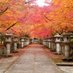 丹波 高山寺 【本尊御開帳】祐弘 (@tanbakosanji) Twitter profile photo 丹波 高山寺 【本尊御開帳】祐弘 (@tanbakosanji) Twitter profile photo