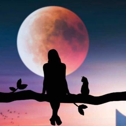 mavava26's profile picture. 