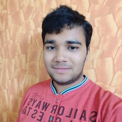 RavirajWadnerk1's profile picture. Learner