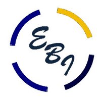 Evolve Business Intelligence(@evolve_bi) 's Twitter Profile Photo