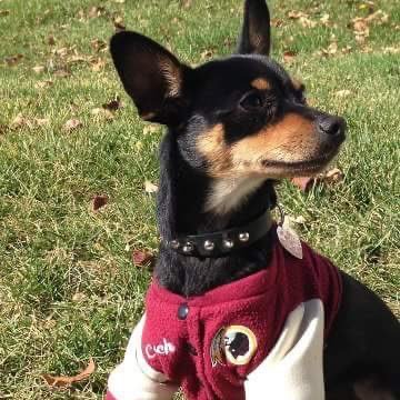 Washington Redskins Wu Tang Clan #HTTR #HTTC #RaiseHail #GoUtes #LAFC🏆 #GoLobos #AsOneATL RIP Scruf! 5150 💨 Formerly followed by the Washington Redskins