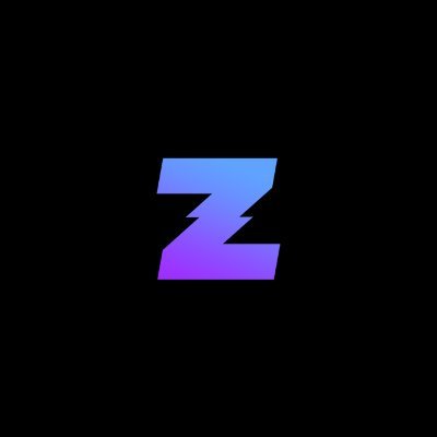 Zoom Proxies Profile