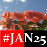 Heer Salaiti (@digital_heer) 's Twitter Profile