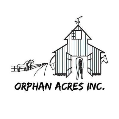 Welcome to the official Twitter account for Orphan Acres Inc, a horse rescue located in Viola Idaho, run by volunteers and overseen by the founder since 1975.