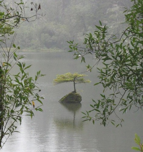 Sarah_J_Hip's profile picture. I like what I like :-)