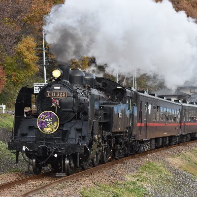 茨城県出身　男性　30代　介護職勤務してます。
休日には、ネタがある時やイベント列車、ＳＬ、廃車回送、甲種輸送、等を撮りに行ってます。まだまだ撮り方下手ですが勉強中です。たまには、何も鉄道のネタやイベント列車が無いときには、風景写真や花火や祭り写真を撮影してきます。
コロナワクチン　4回接種済み