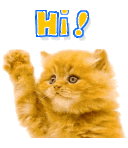 Ray Patterson - @rayp - Twitter