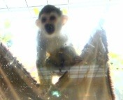 usappi0913's profile picture. 鶏料理 キムチ イカの塩辛 東野圭吾 細川茂樹 芸人 戦国ixa サッカー 飲み会 嵐 東方神起 コスメ マンガ(結構マニアックなの読んでる) 一番はOne pieceだけど。 自由が好き…でも淋しいのは嫌。面倒くさい奴です。よく勘違いされますが、本当は小学生並に純情です。すぐに赤面しちゃいます。カラオケ行くとマイク離