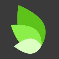 mintees.com (@minteesdotcom) Twitter profile photo