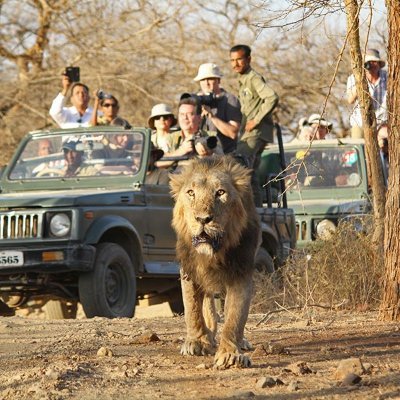 Gir National Park (@gir_park) / Twitter Gir National Park (@gir_park) / Twitter