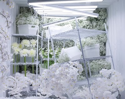 MODAbotanica's profile picture. Bailey Hale and Armas Koehler are MODA botanica, a custom floral and event design firm. Our studio is located in Philadelphia, with hours by appointment.