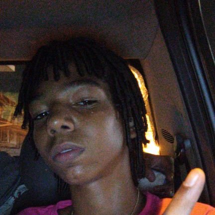 TDjavan's profile picture. tem bio não