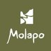 Molapo Safari (@molaposafari) Twitter profile photo Molapo Safari (@molaposafari) Twitter profile photo