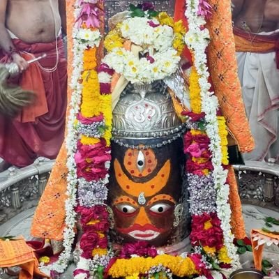 VijendrHallabo1's profile picture. 🇮🇳Ek Hindustani 🙏
