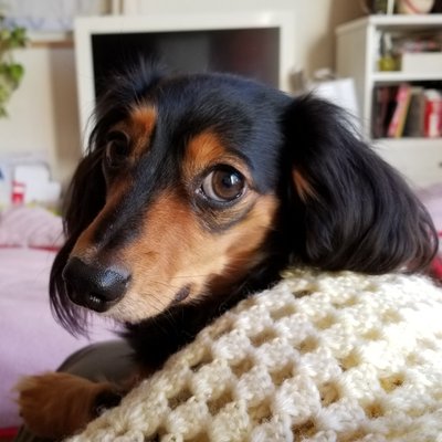 やちみど Kt Yachimidokt Twitter