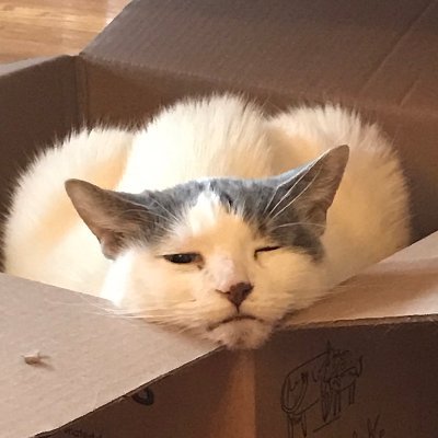 Sibawayhi's profile picture. itinerant grammarian, typographist, computationist, pragmatist, logicist, istist