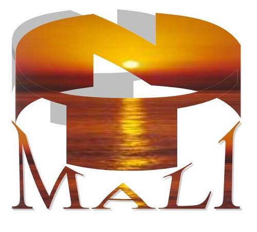 NEWTEC-MALI SARL évolue dans le domaine de l’informatique et de la télécommunication au Mali et dans plusieurs pays du monde en télétravail