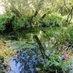 Urban Rewilding ๐ฆ River Len Maidstone (@urewilding) Twitter profile photo Urban Rewilding ๐ฆ River Len Maidstone (@urewilding) Twitter profile photo