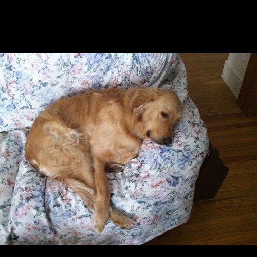 MPSullivan52's profile picture. 