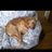 MPSullivan52's profile image
