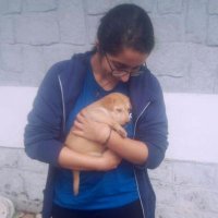 Aditi (@aditiramakrish1) 's Twitter Profile