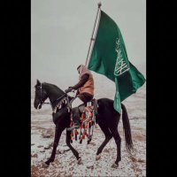 ناصر الربيعان (@n2004ss) 's Twitter Profile
