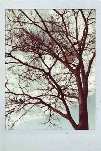 mskmama's profile picture. tweeting