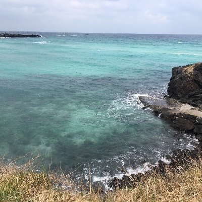 SH_Toni_Kim's profile picture. 