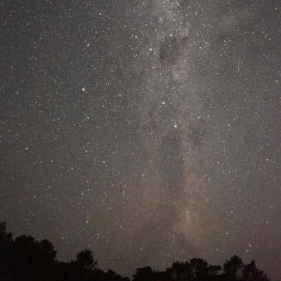 Rosapilin's profile picture. 