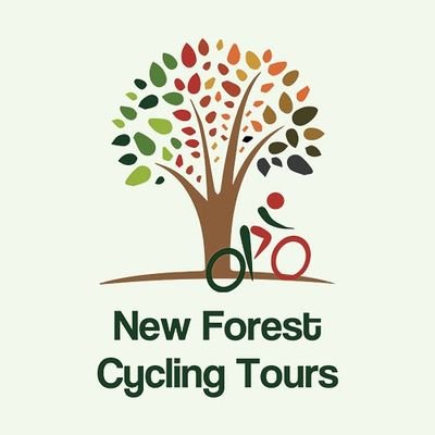 Guided Tours In And Around The New Forest