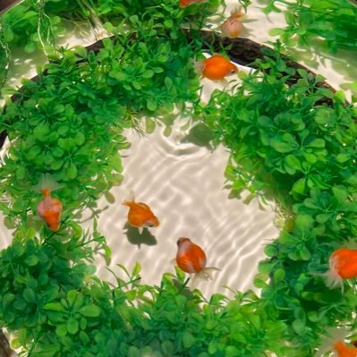 マーガリン 1hm4byxxgf9ivz0 Twitter