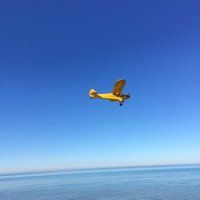 Robin (@robjaniko) 's Twitter Profile