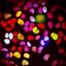 CRUK Newcastle Drug Discovery Bioscience Team (@nbioscience) Twitter profile photo CRUK Newcastle Drug Discovery Bioscience Team (@nbioscience) Twitter profile photo