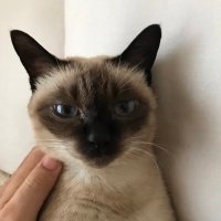 T.Tooyama☀️ (@takashitooyama) 's Twitter Profile
